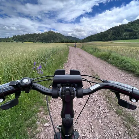 Widokowka Апартаменты