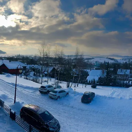 Widokowka Апартаменты *