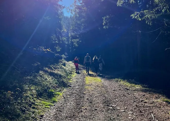 Apartament Widokówka