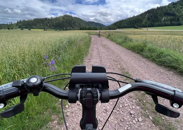 Widokówka Apartament